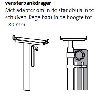 Image Alt Text