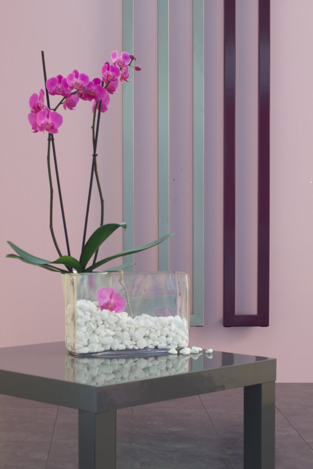 Image Alt Text